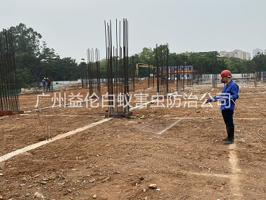 南沙新建白蚁预防工程